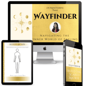 Wayfinder Module 1